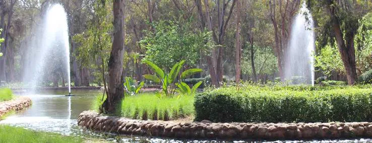 Fontaines et jardins de la forêt Hilton