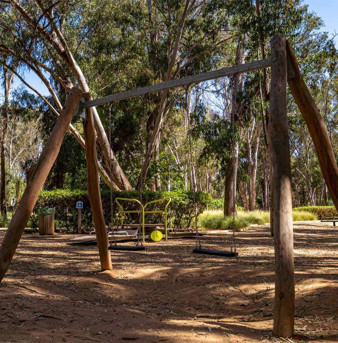 Balançoires en bois dans la forêt Hilton